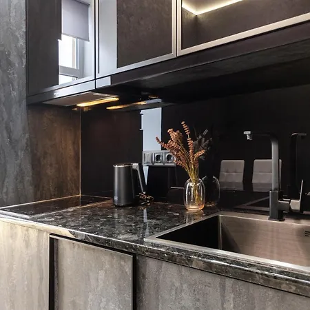 Two Bedrooms 13 Shpytalna Street Lviv